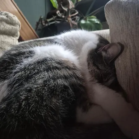 Ubytování v soukromí Chez Antje