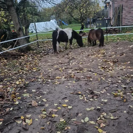 Ubytování v soukromí Chez Antje *